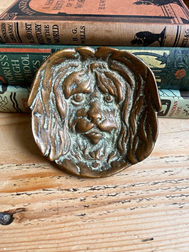 Antique art nouveau bronze dog - bronze,