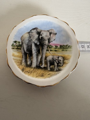 Vintage argyle bone china - vintage,