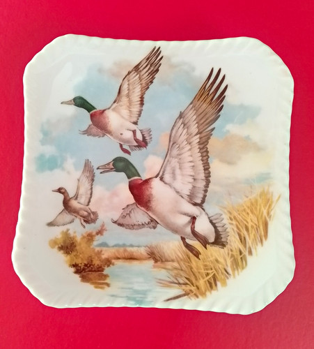 Royal adderley bone - china, pin