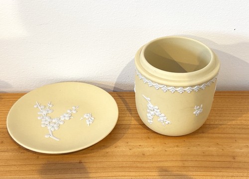Wedgwood yellow primrose - wedgwood,